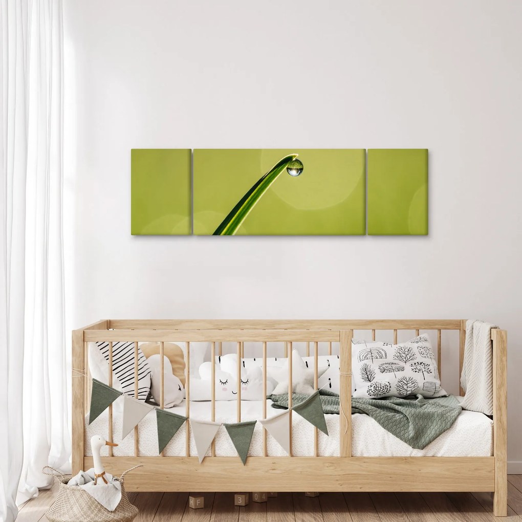 Obraz kropli wody na trawie (170x50 cm)