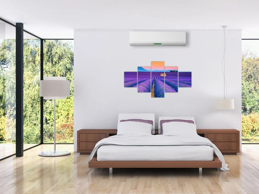 Obraz - Lewndowe pole (125x70 cm)