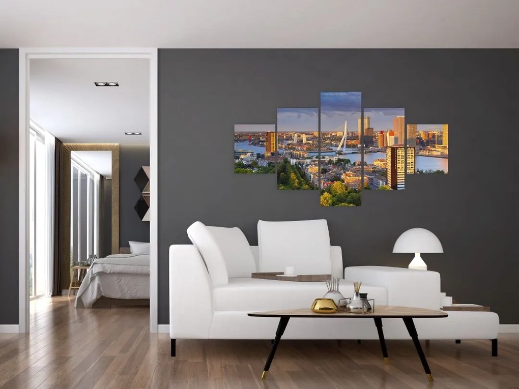 Obraz - Panorama Rotterdamu, Holandia (125x70 cm)
