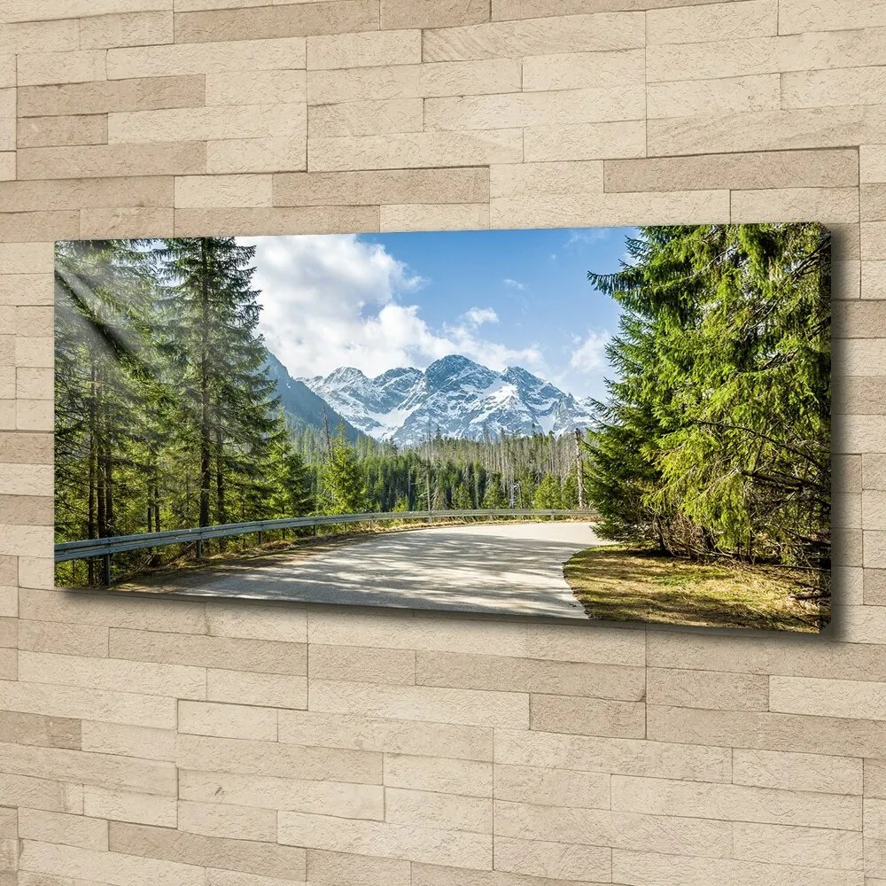 Foto obraz canvas Droga Tatry
