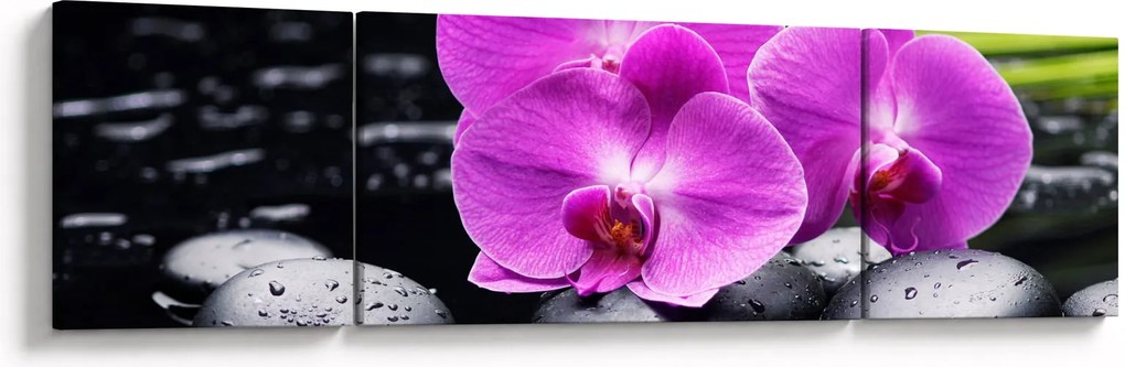 Obraz - Storczyki (170x50 cm)
