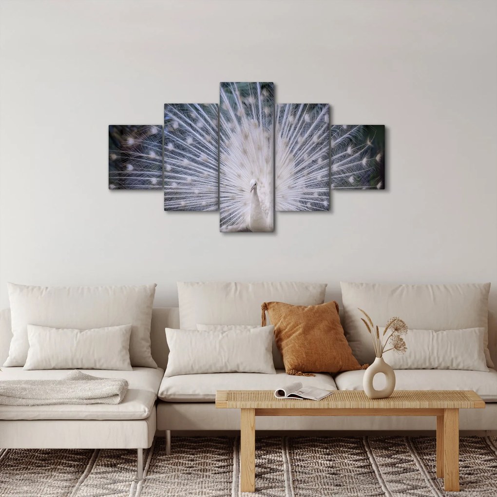 Obraz - Biały paw (125x70 cm)