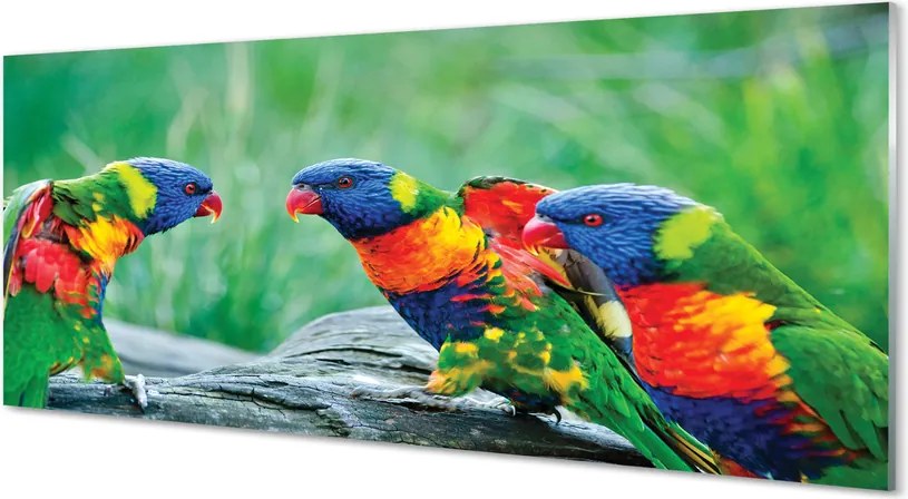 Panel Kuchenny Szklany Egzotyczne Papugi w Koronie Drzew