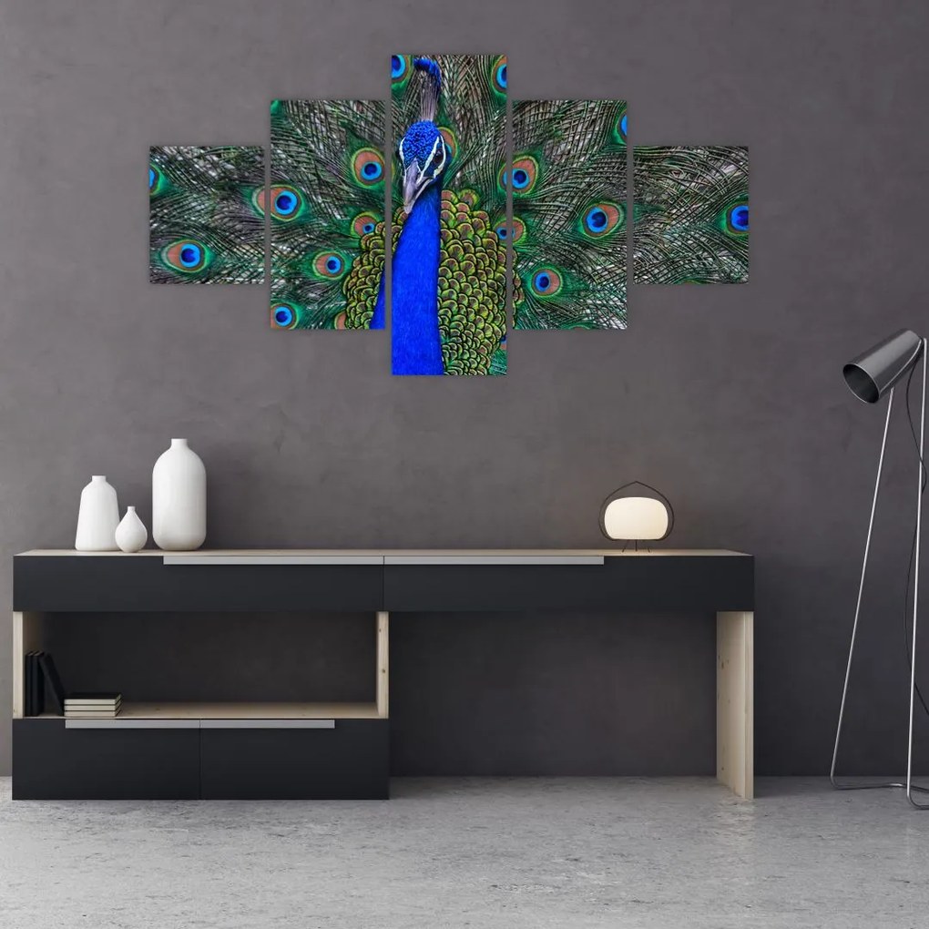 Obraz - Paw (125x70 cm)