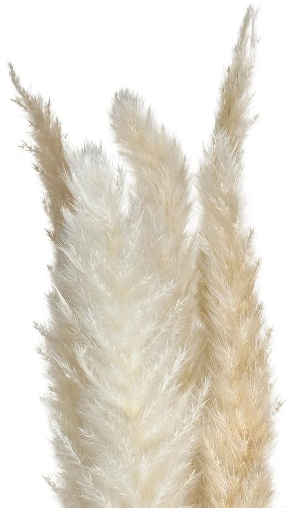 Ozdobne źdźbło z trawy pampasowej, 6 szt., 65 cm