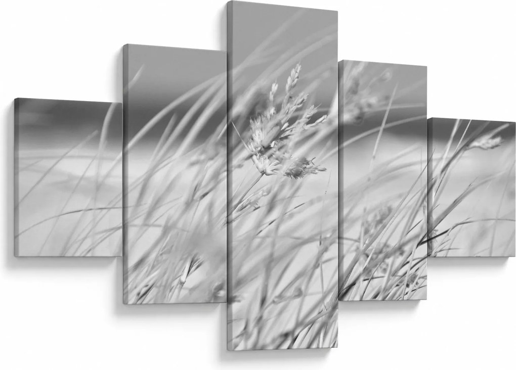 Obraz - Trawa plażowa (125x70 cm)