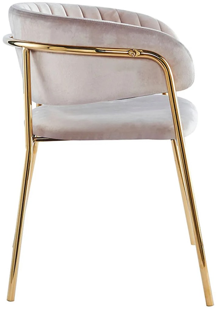 Krzeso Moniel Golden Velvet