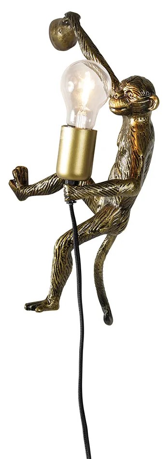 Złota ścienna lampa małpa - Animal Monkey klasyczny/Antyczny Oswietlenie wewnetrzne