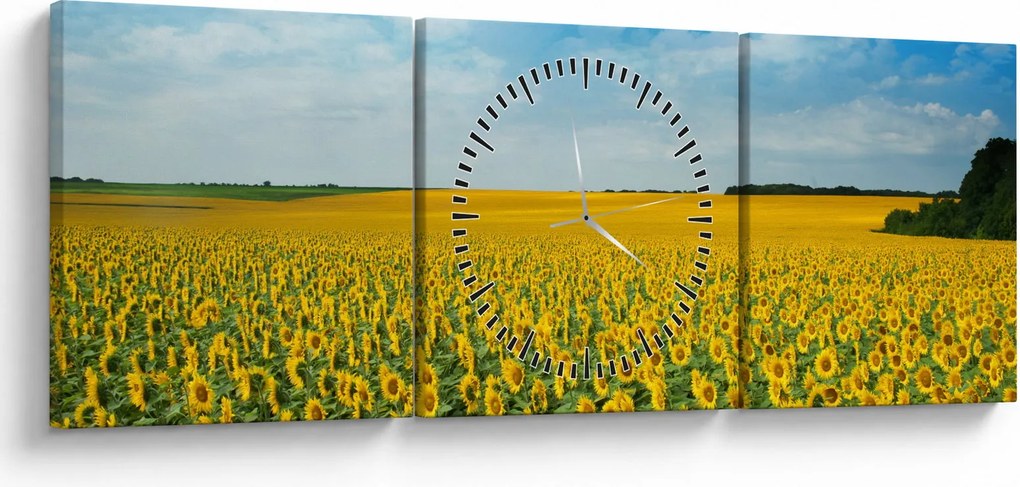Obraz - ciąg słoneczników (z zegarem) (90x30 cm)
