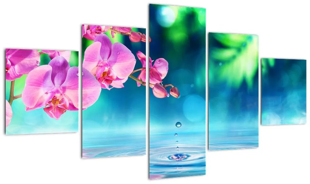 Obraz - Orchidea (125x70 cm)