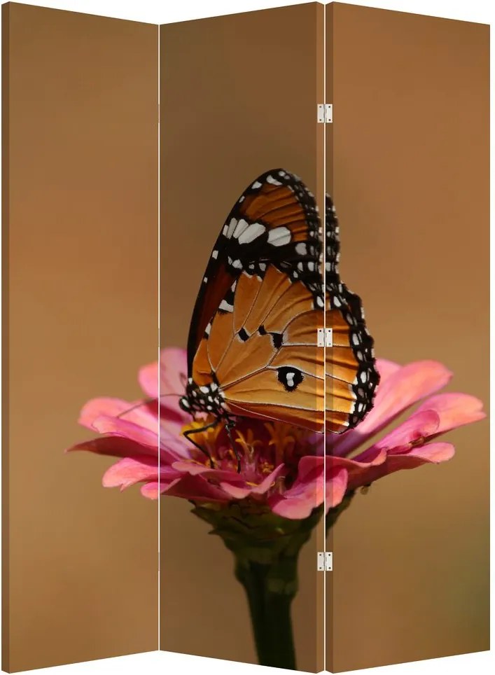 Parawan - Motyl na kwiatku (126x170 cm)
