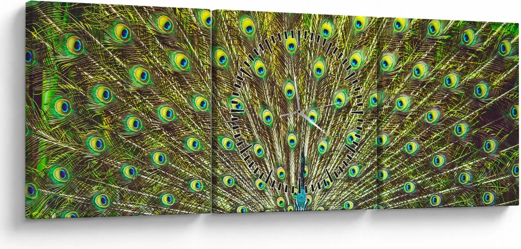 Obraz - Paw (z zegarem) (90x30 cm)