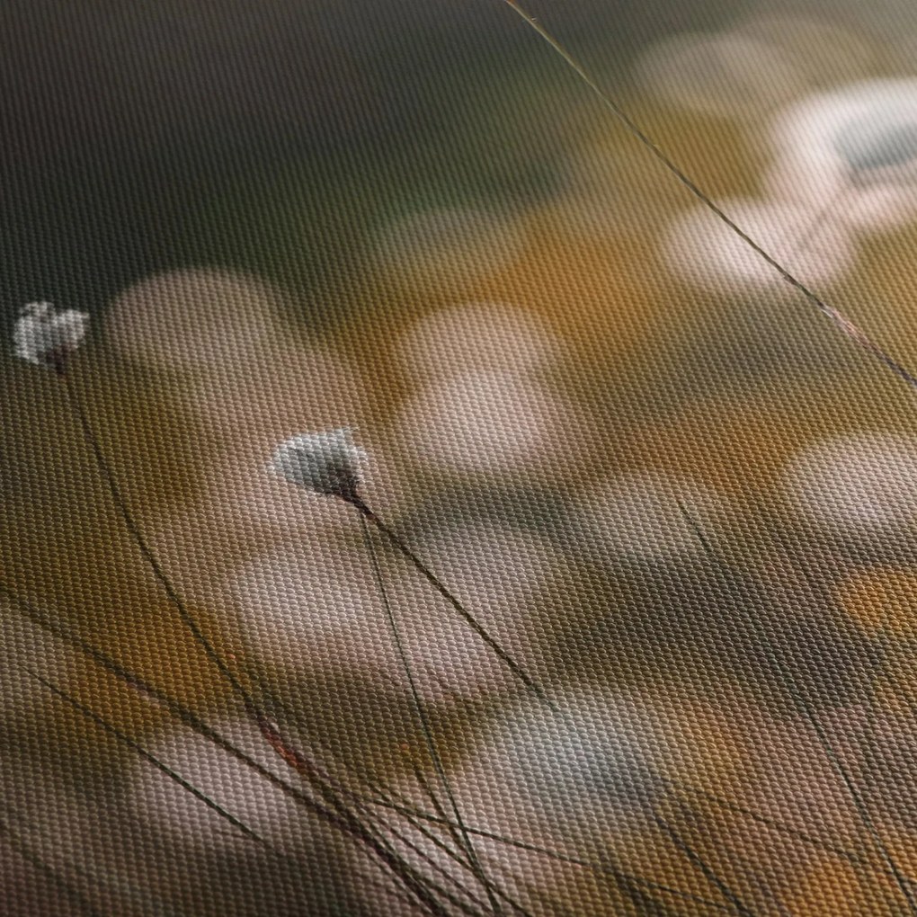 Obraz - Łąka z trawą bawełnianą N⁰2 (170x50 cm)