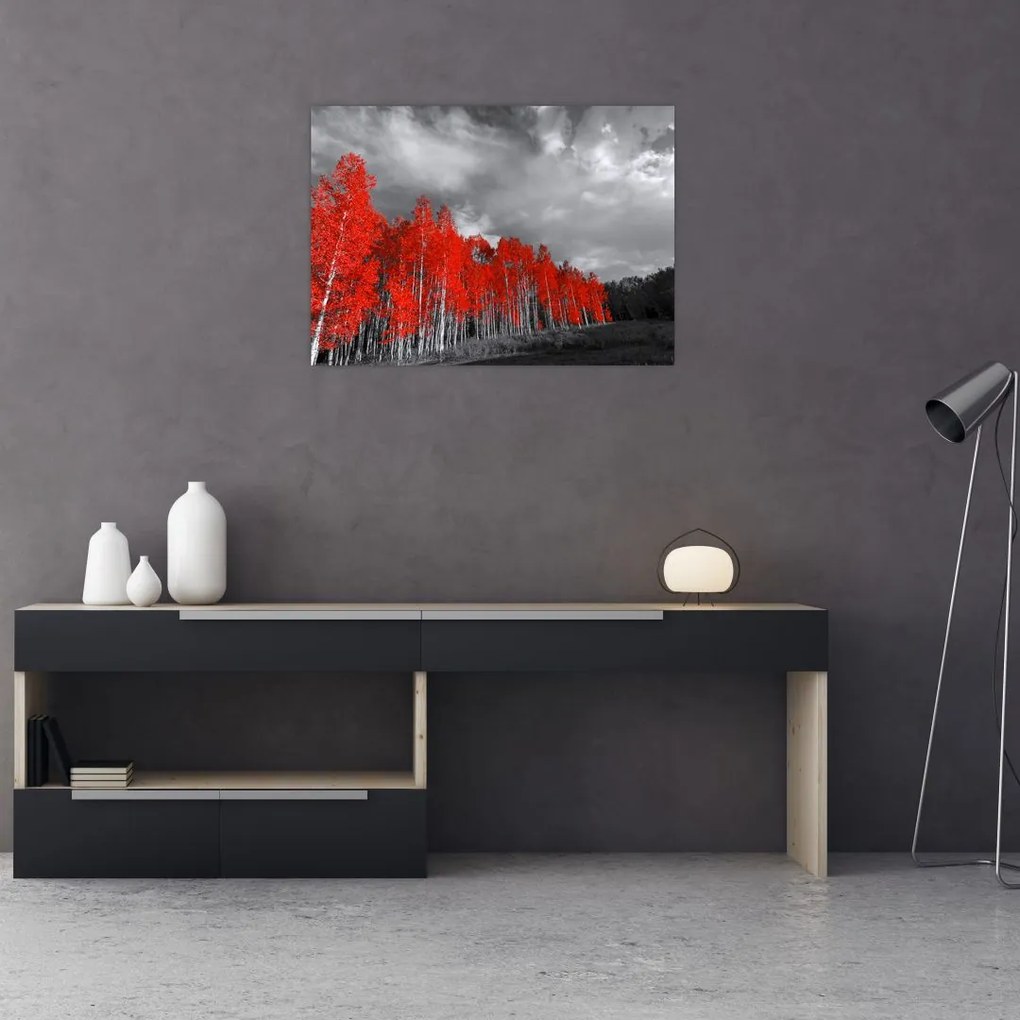 Obraz - Drzewa w kolorze jesieni (70x50 cm)