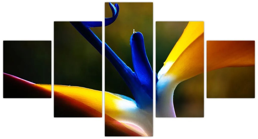 Obraz - Egzotyczny kwiat (125x70 cm)