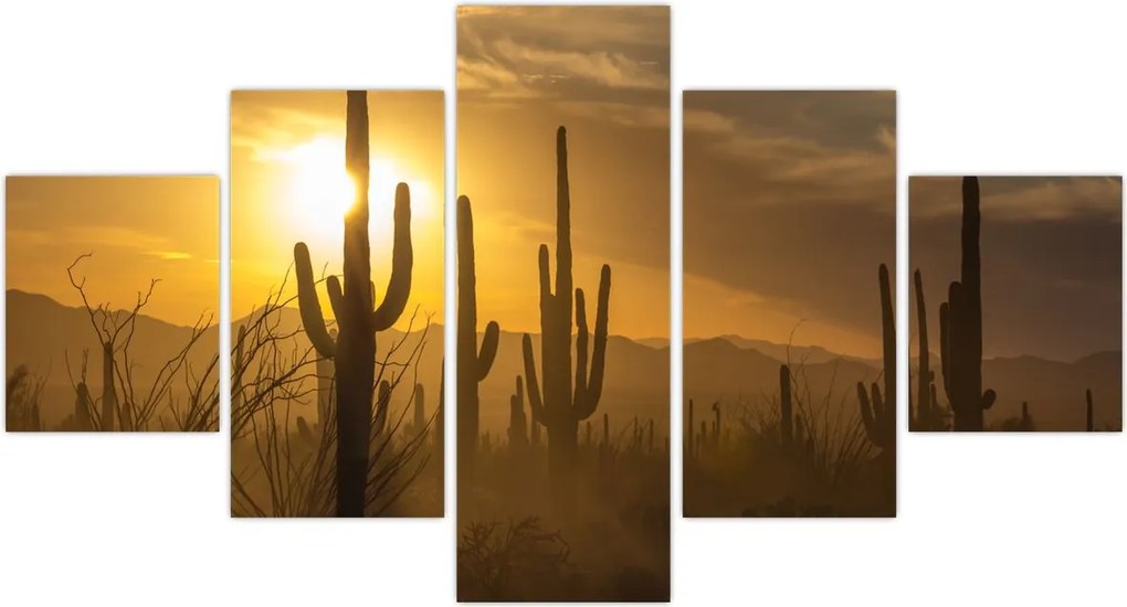 Obraz - Kaktusy Saguaro (125x70 cm)