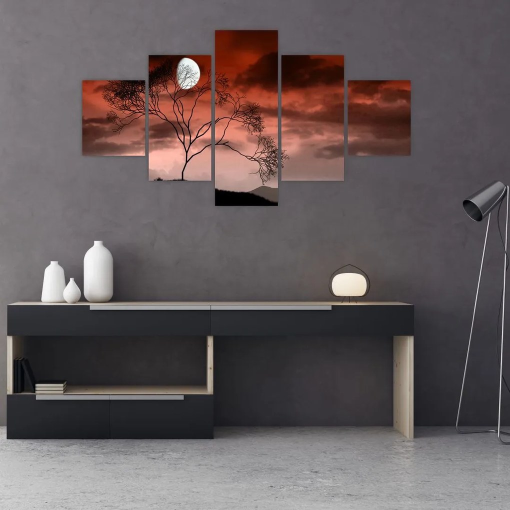 Obraz - Księżyc oświetlający noc (125x70 cm)
