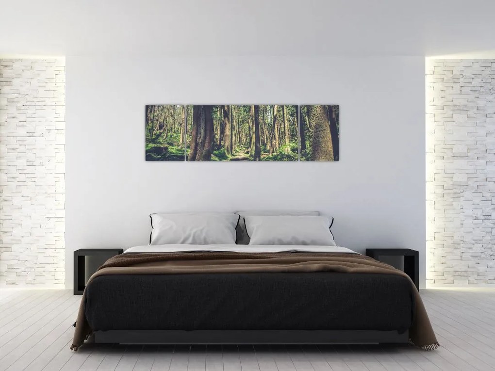 Obraz ścieżki pomiędzy drzewami (170x50 cm)