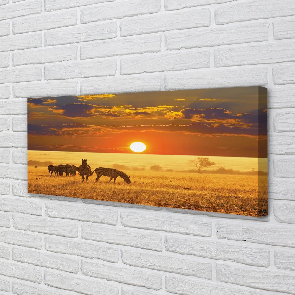 Fotoobraz na płótnie Zebry o Zachodzie Słońca