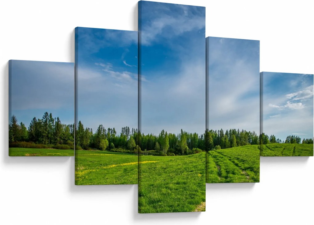 Obraz łąki (125x70 cm)