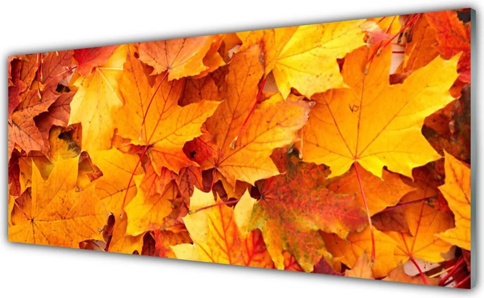 Szkło do Kuchni na Ścianę Organiczny Motyw Roślinny