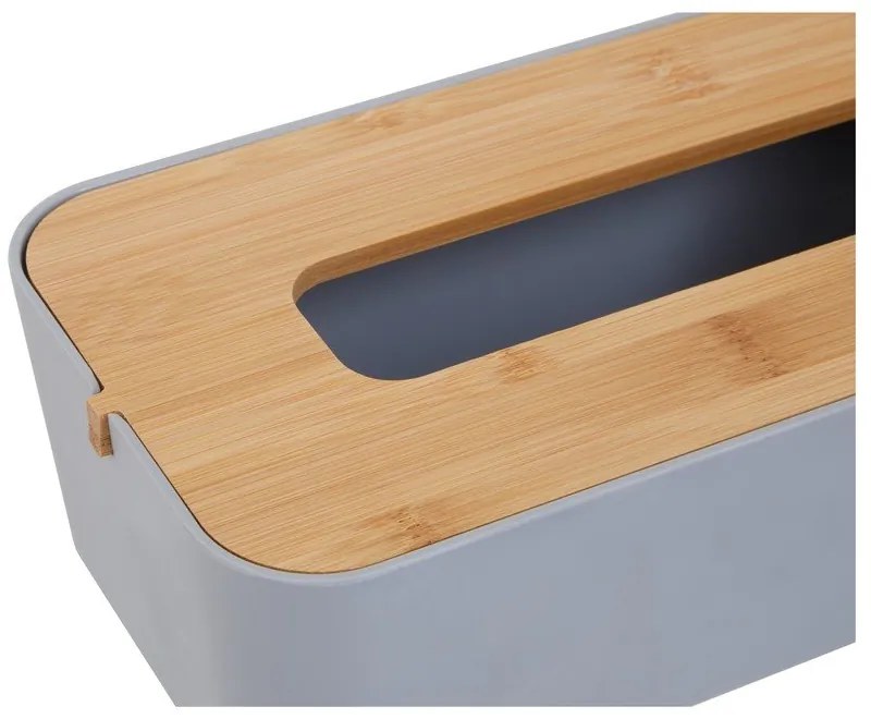 Plastikowy pojemnik na chusteczki Canyon – Premier Housewares