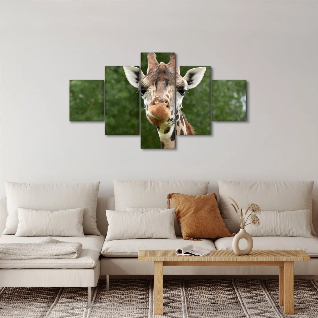 Obraz żyrafy (125x70 cm)