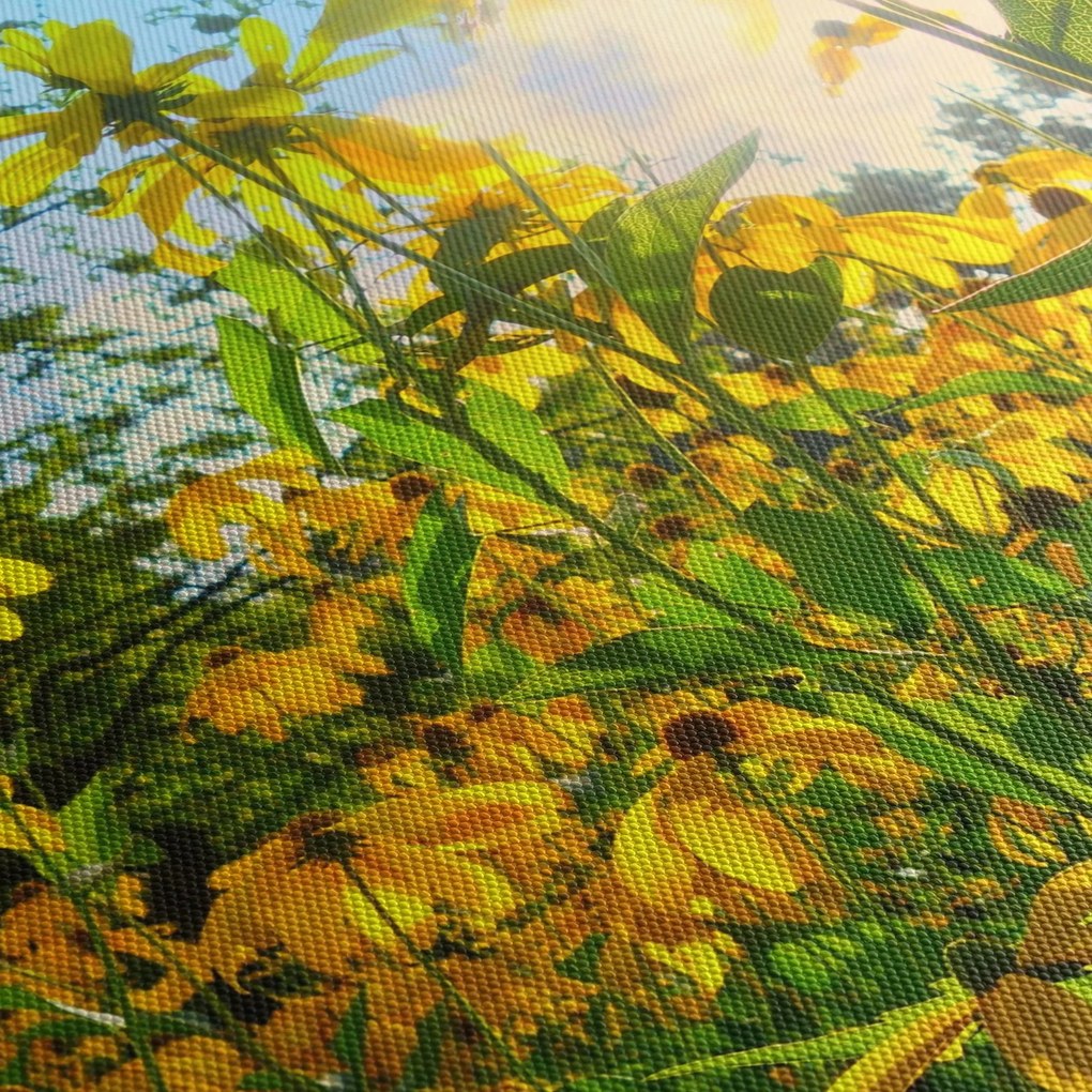 Obraz żółtych kwiatów (125x70 cm)