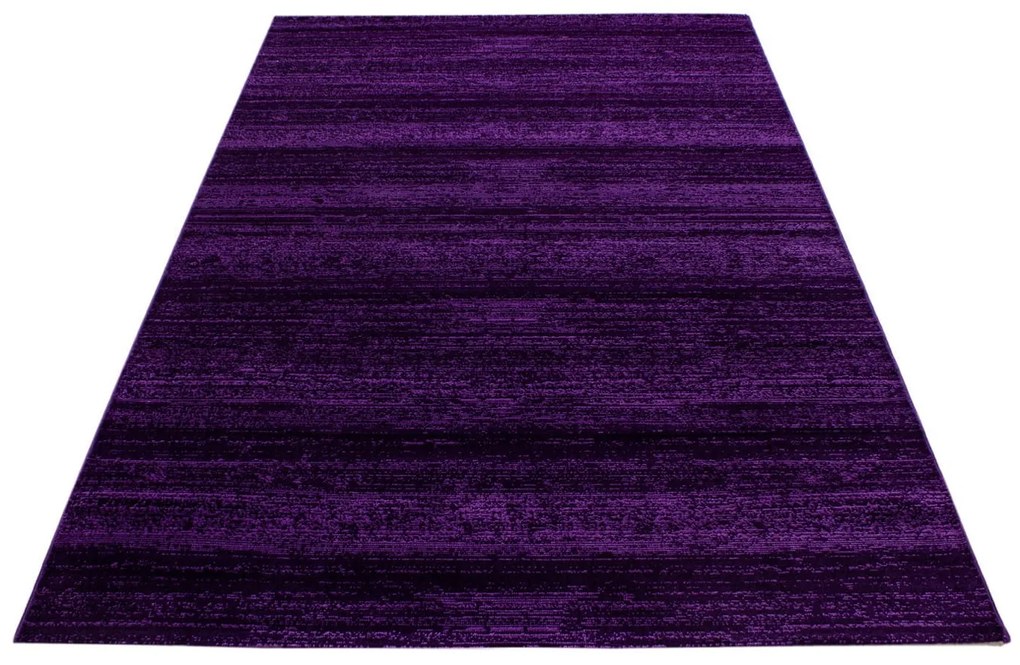 Dywan nowoczesny Plus fioletowy 160 cm x 230 cm