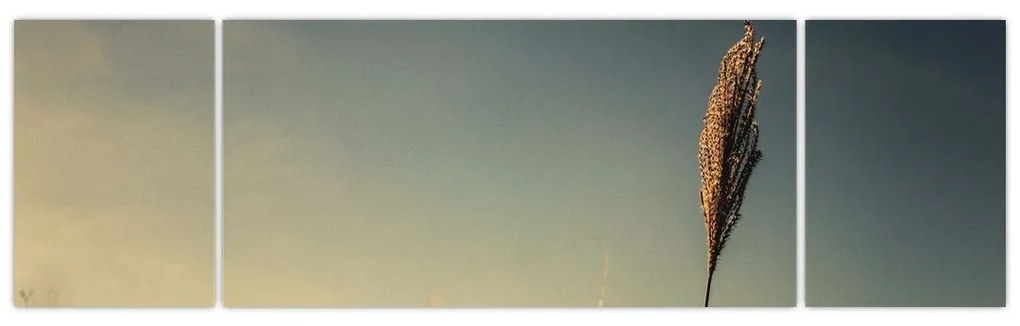 Obraz z trawą (170x50 cm)