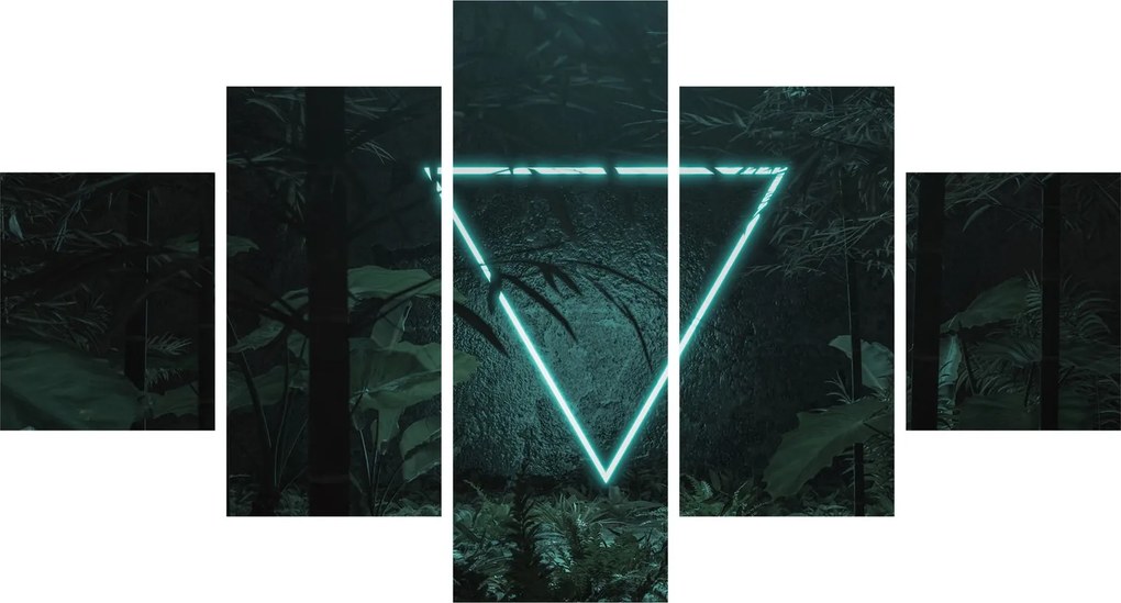 Obraz - Neonowy trójkąt w dżungli (125x70 cm)