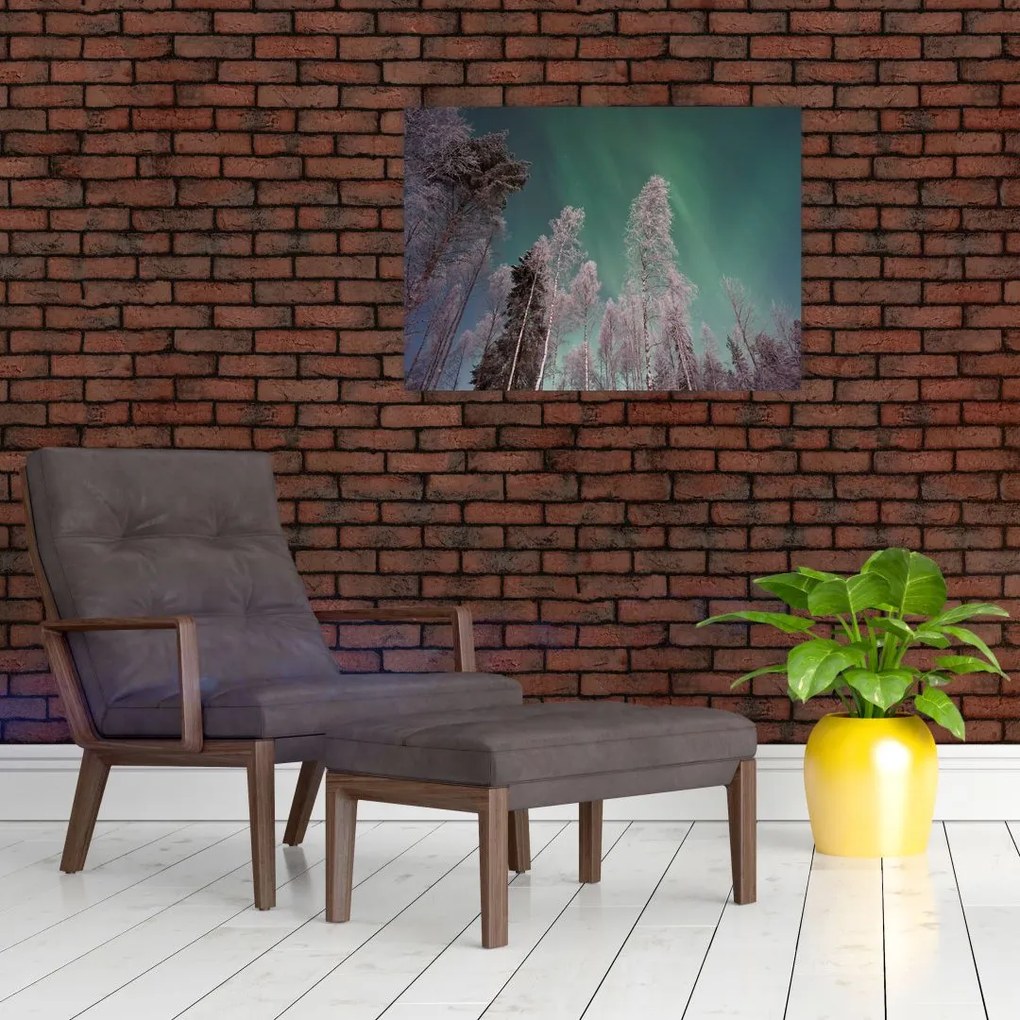 Obraz zorzy polarnej nad zamarzniętymi drzewami (70x50 cm)