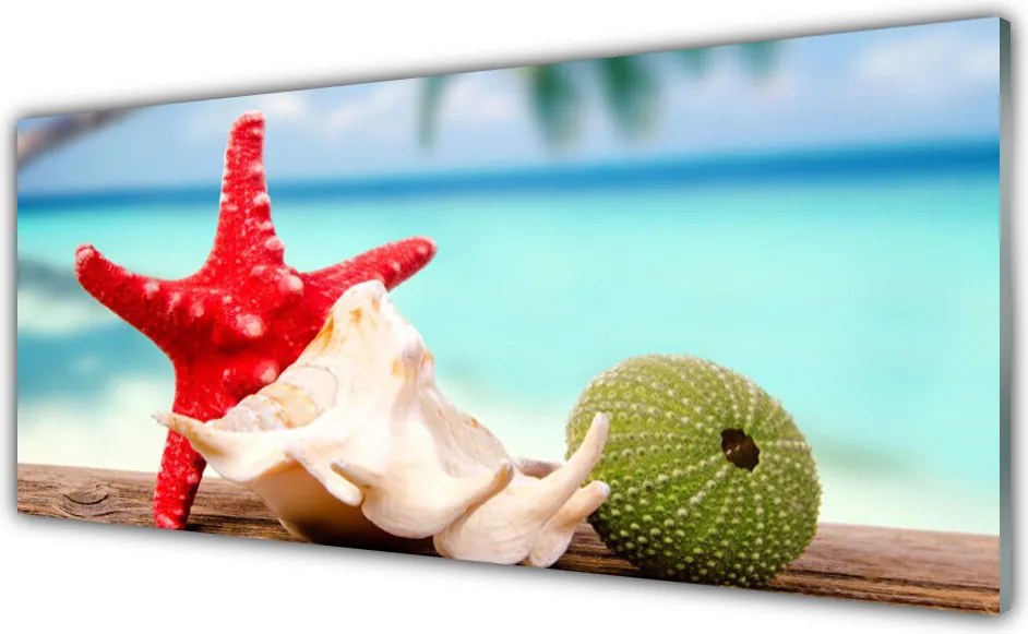 Panel Kuchenny Skarby Oceanicznej Głębi