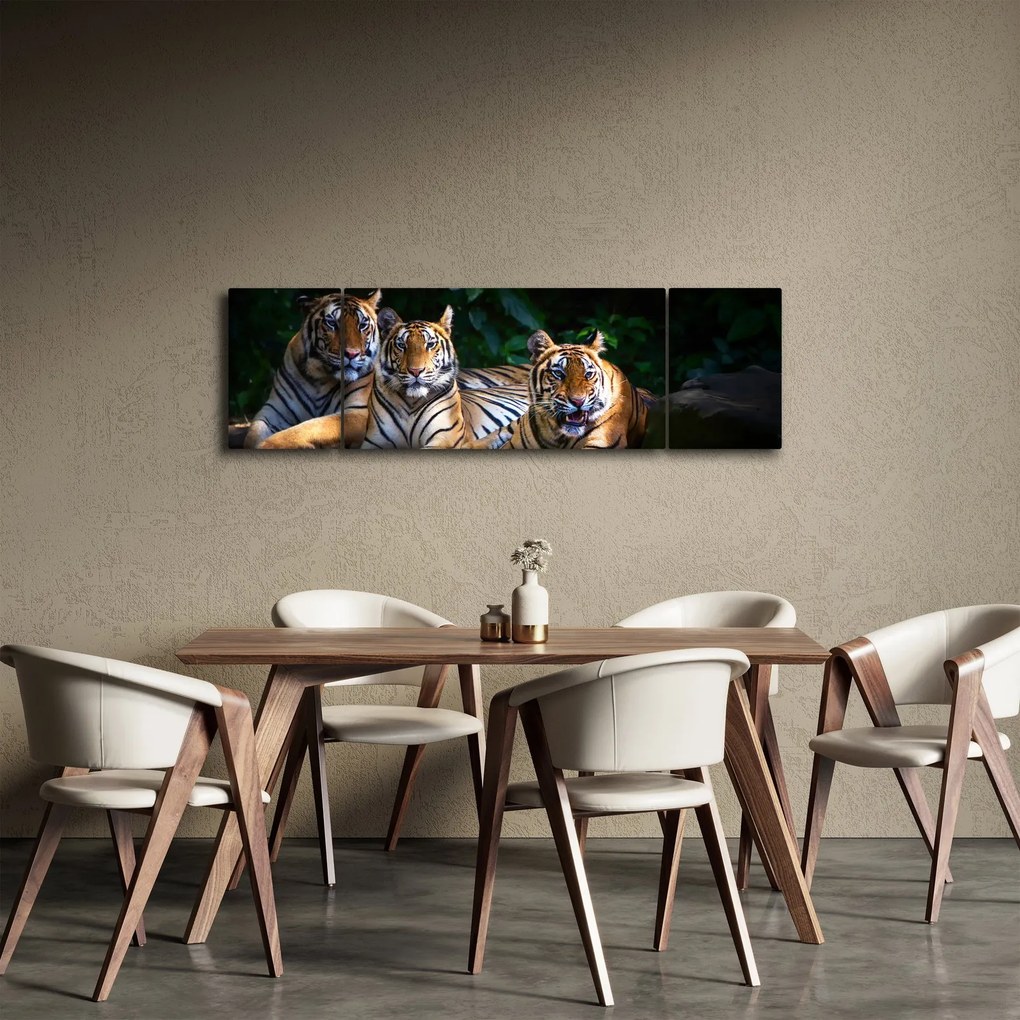 Obraz - Tygrysi Bracia (170x50 cm)