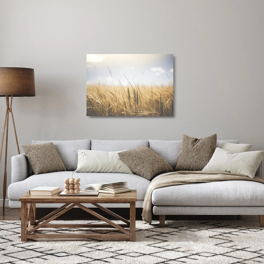 Obraz na szkle ziarna (70x50 cm)