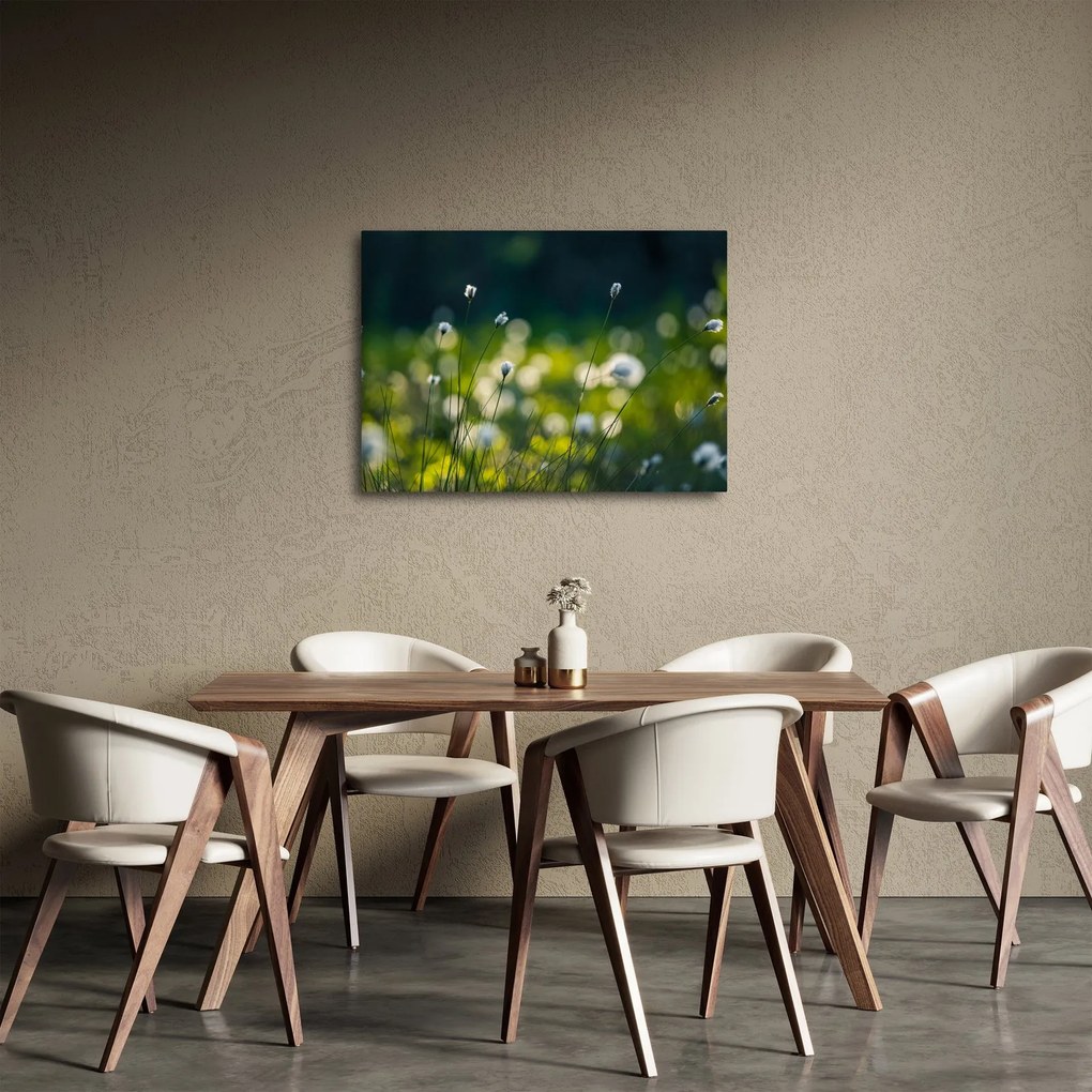 Obraz - Trawa (70x50 cm)