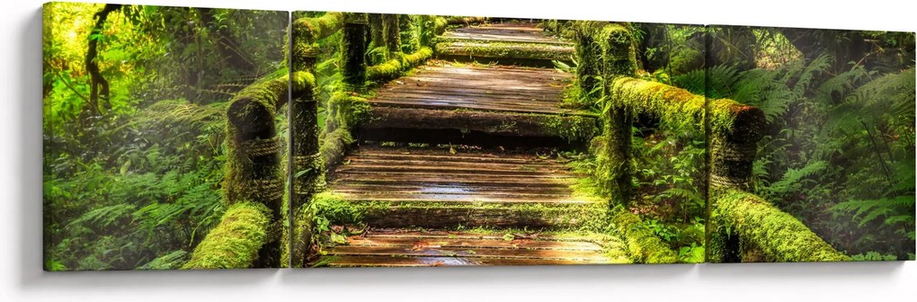 Obraz schodów w deszczowym pralesie (170x50 cm)