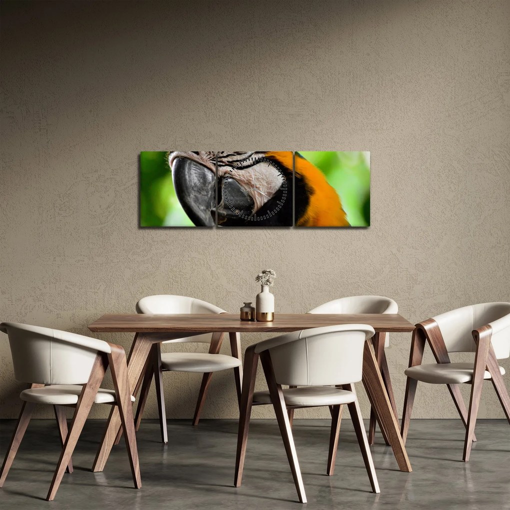 Obraz papugi (z zegarem) (90x30 cm)