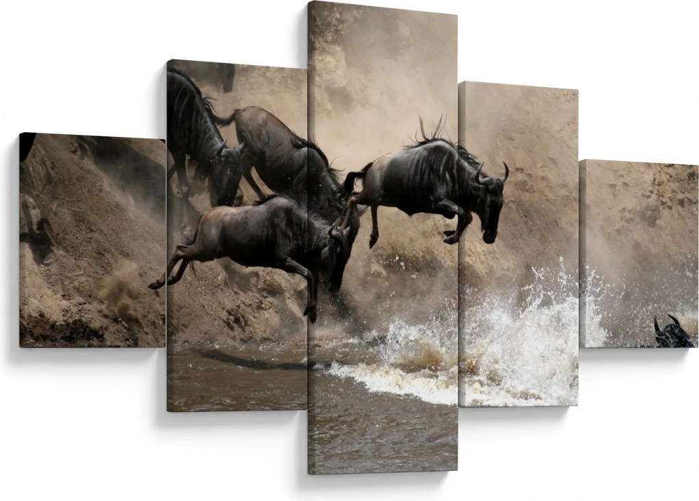 Obraz - Stado antylop gnu (125x70 cm)