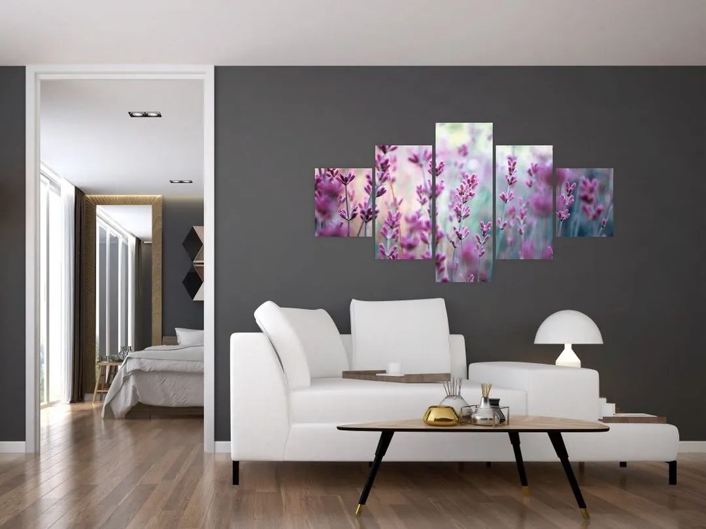 Obraz - Lawenda (125x70 cm)