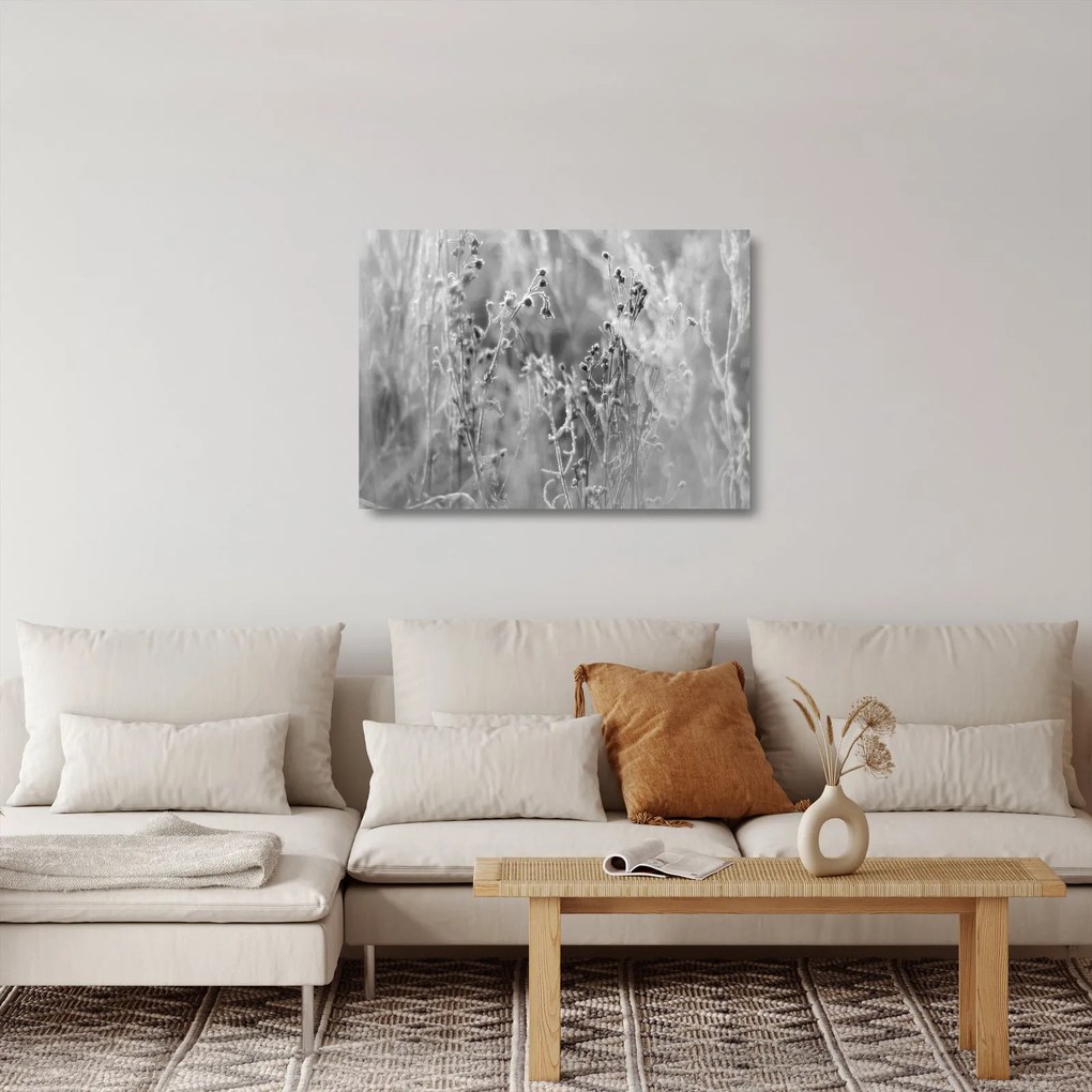 Obraz na szkle - Dzika łąka (70x50 cm)