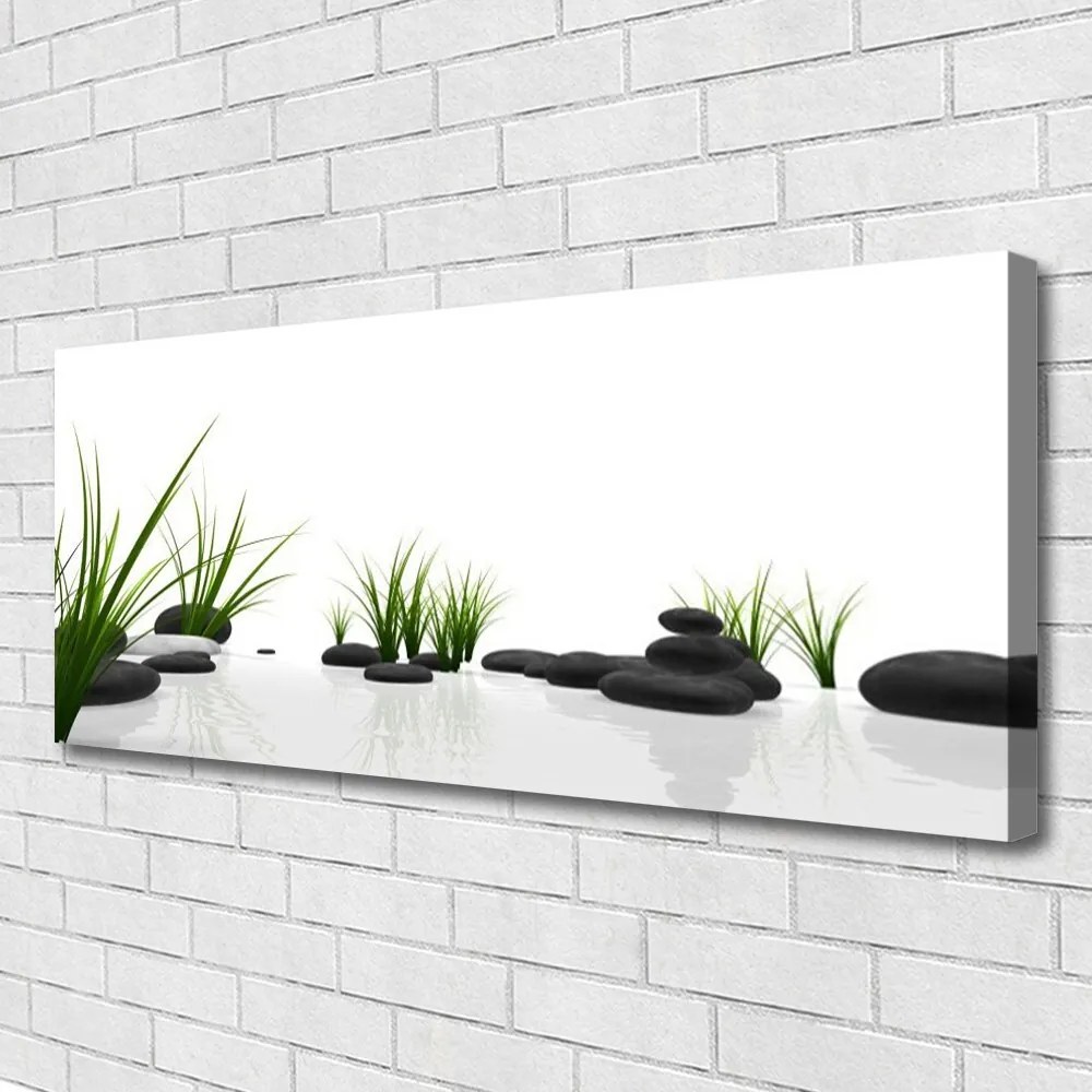 Zdjęcie na płótnie Kamienie w Soczystej Trawie