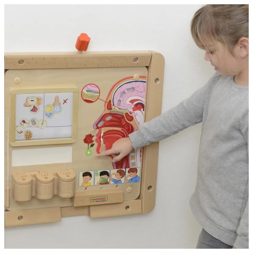 Masterkidz tablica edukacyjna zmysł węchu montessori