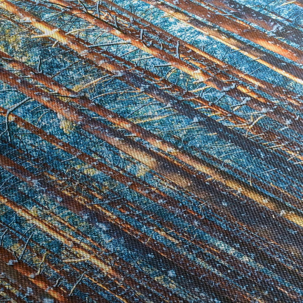 Obraz - Zimowy las (70x50 cm)