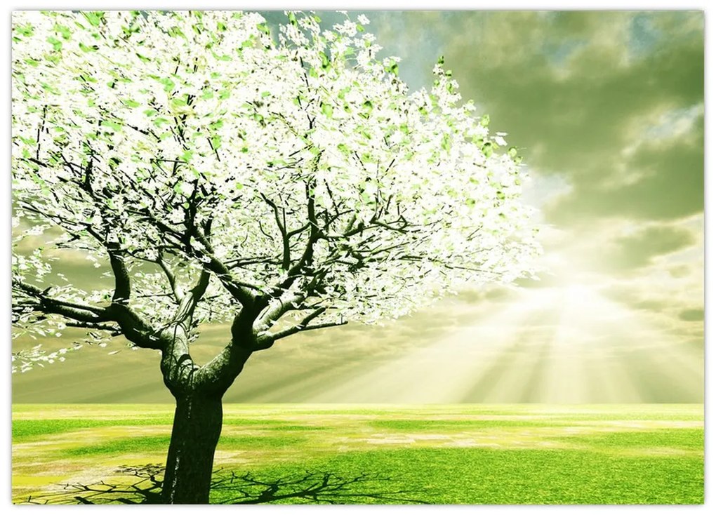 Obraz na szkle drzewa na łące (70x50 cm)