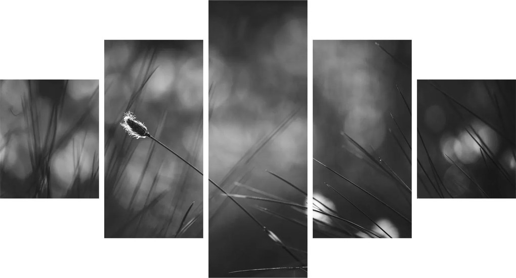 Obraz - Trawa łąkowa (125x70 cm)