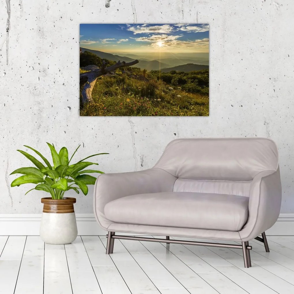 Obraz - Widok na otoczenie (70x50 cm)