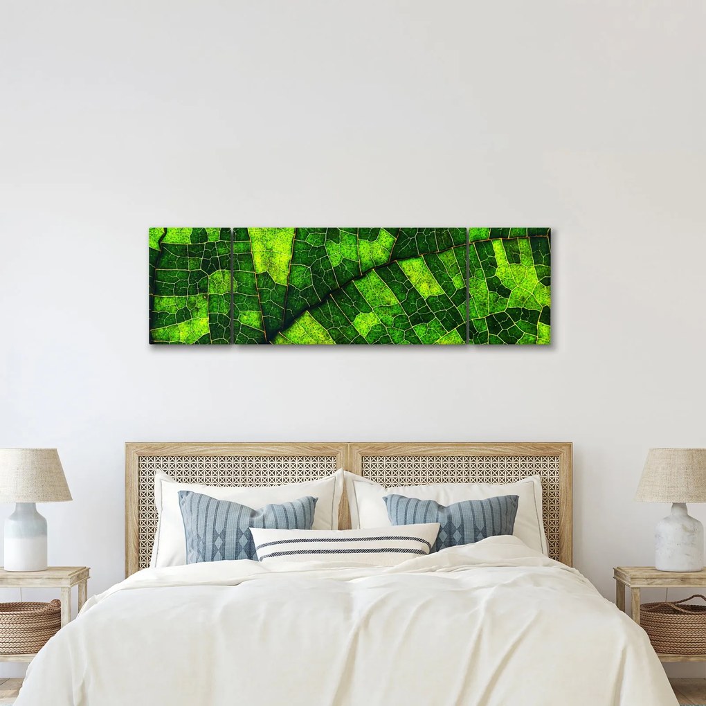 Obraz - Detal liścia (170x50 cm)