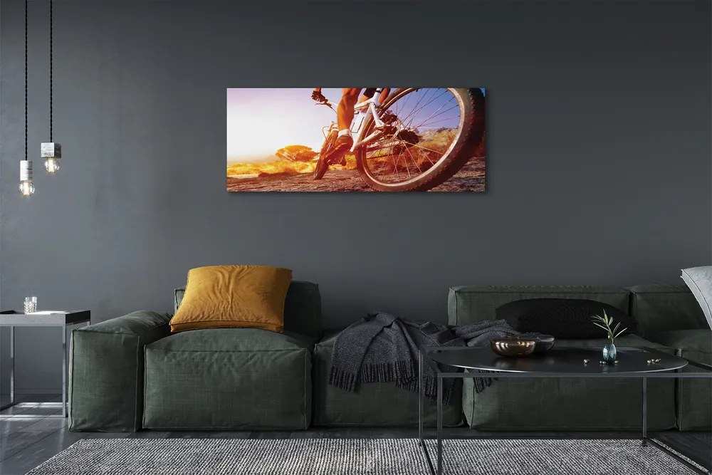 Obraz drukowany na płótnie Rower na Górskim Szlaku