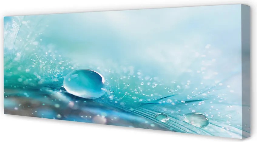 Obraz drukowany na płótnie Abstrakcyjna Kropla Makro